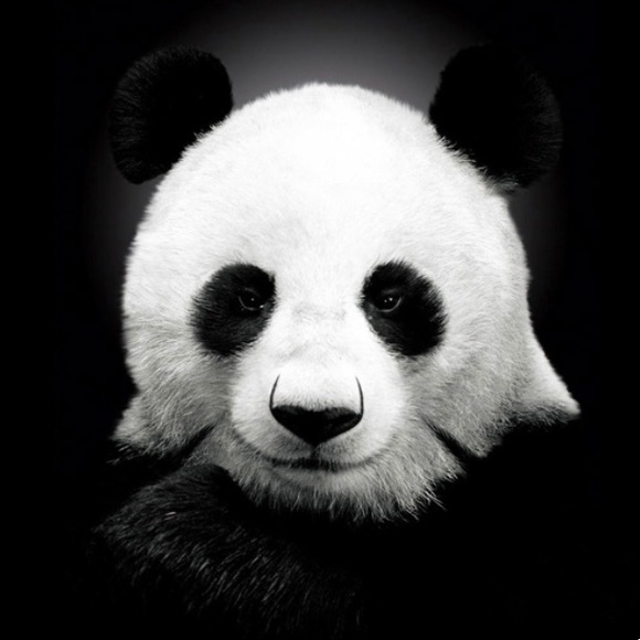 pandamann
